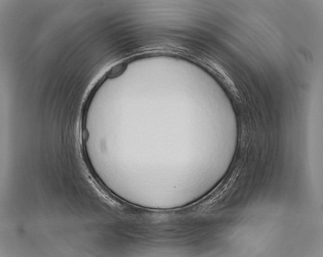 X0000110980796200907101409