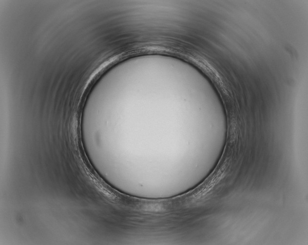 X0000110980798200907101409