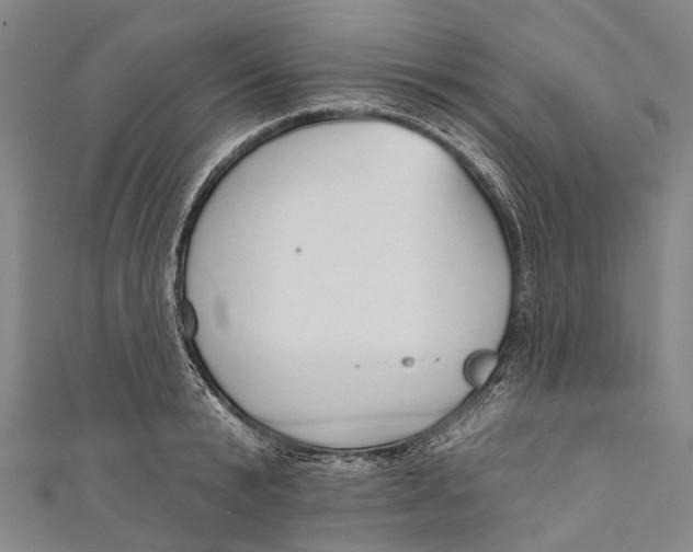 X0000110980799200907101409