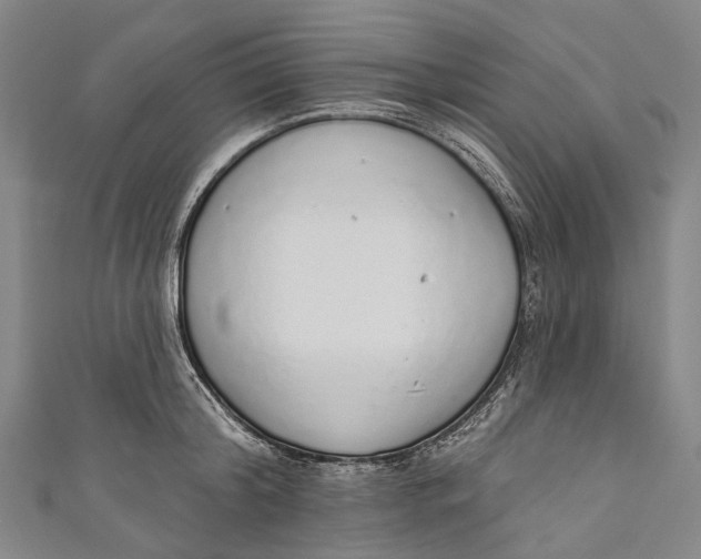 X0000110980804200907101409