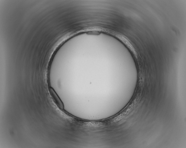 X0000110980805200907101409