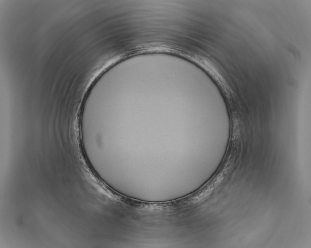 X0000110980806200907101409