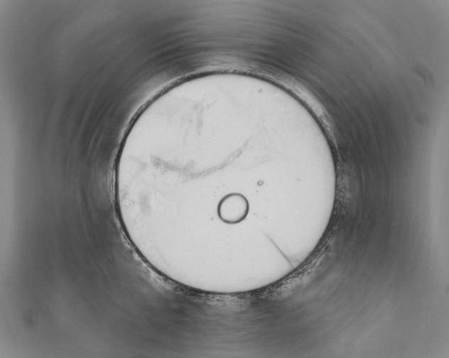 X0000110980807200907101409