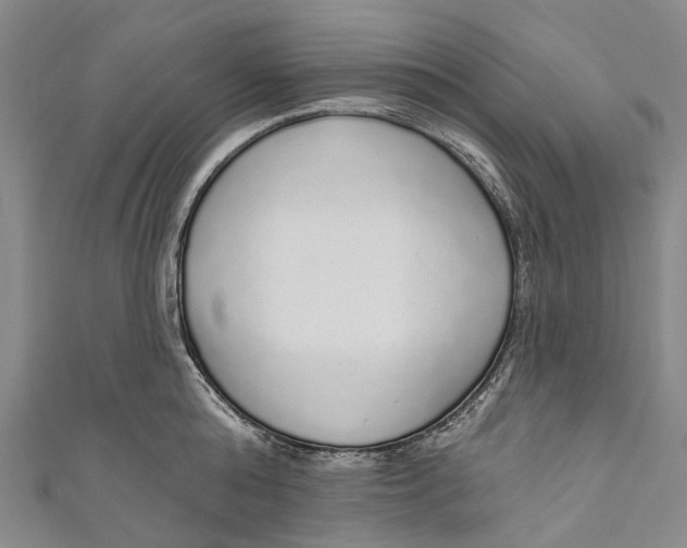 X0000110980808200907101409