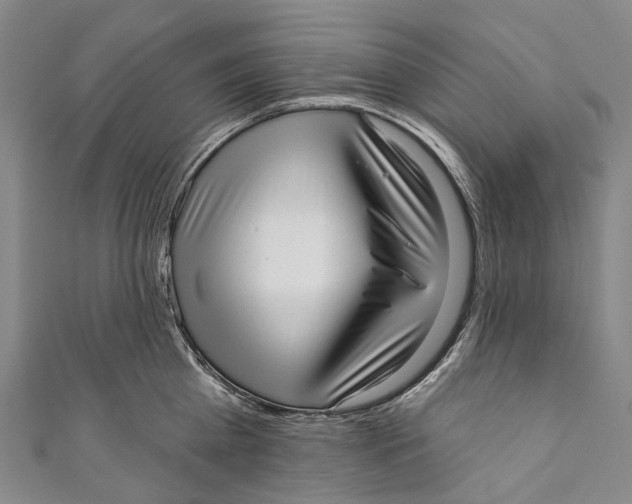 X0000110980809200907101409