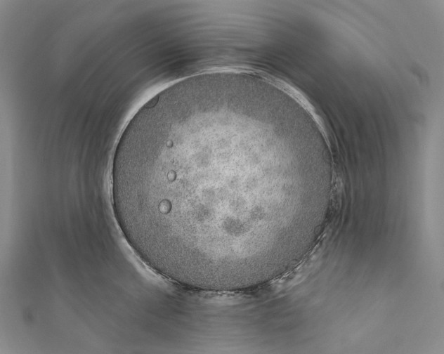 X0000110980811200907101409