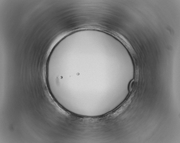 X0000110980812200907101409