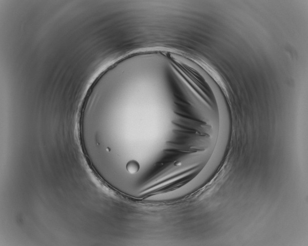 X0000110980813200907101408