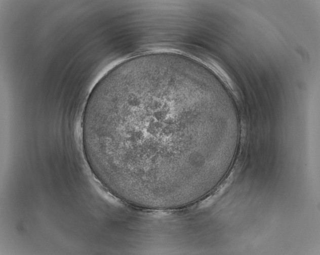 X0000110980814200907101408