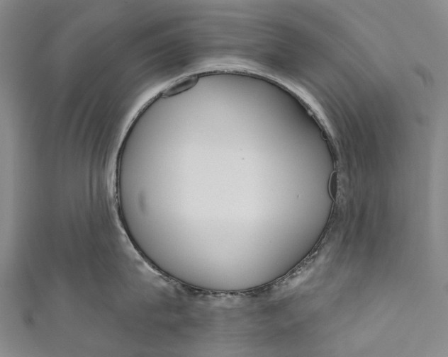 X0000110980815200907101408