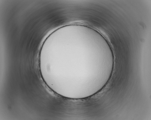 X0000110980816200907101408