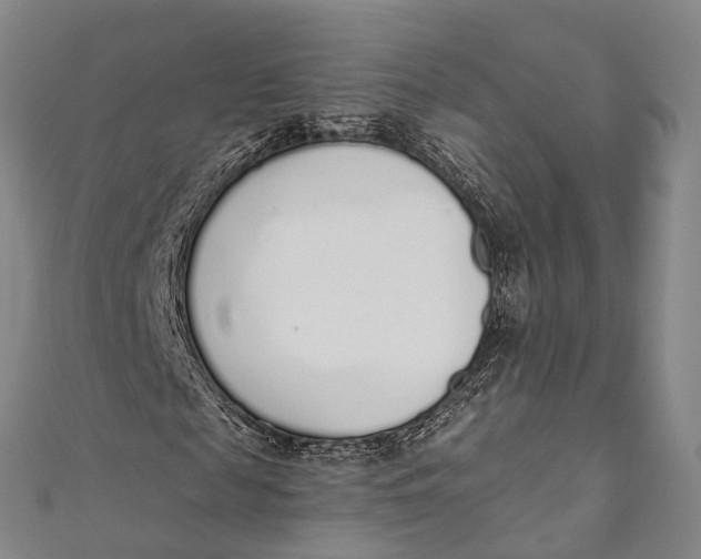 X0000110980817200907101408