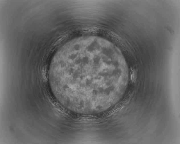 X0000110980819200907101408