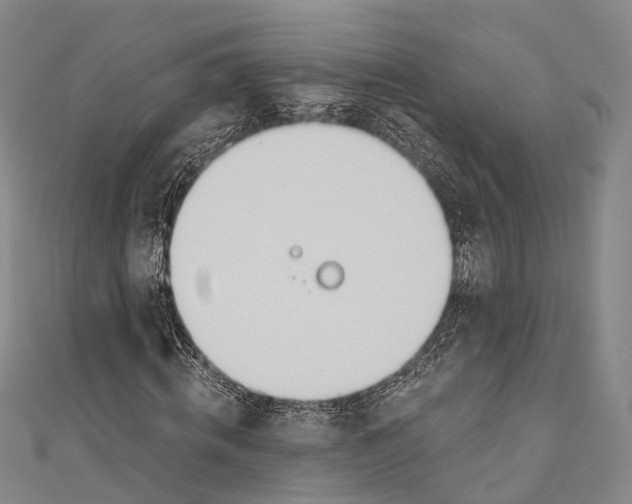 X0000110980820200907101408