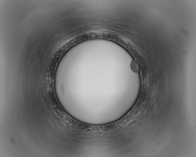 X0000110980822200907101408