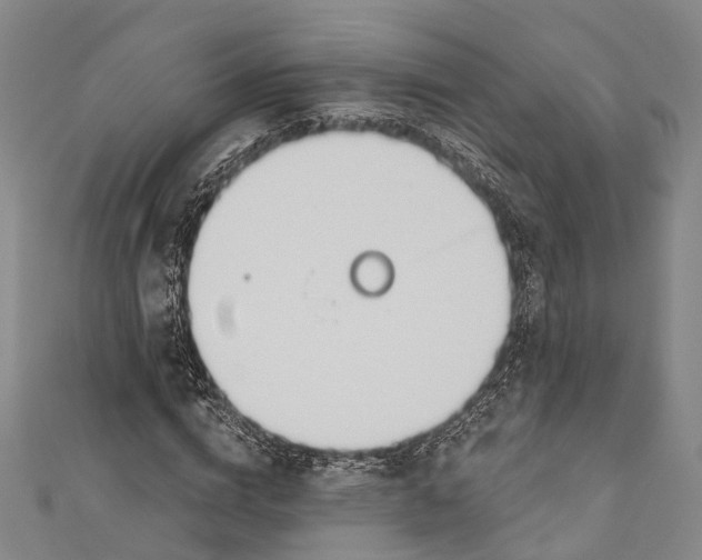 X0000110980824200907101408