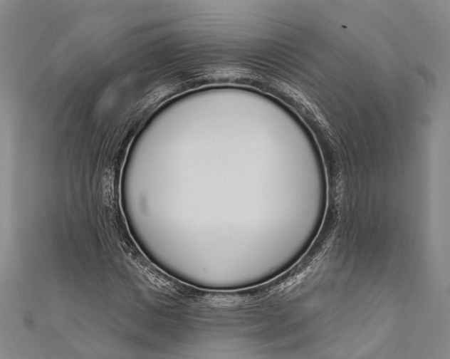 X0000110980825200907101408