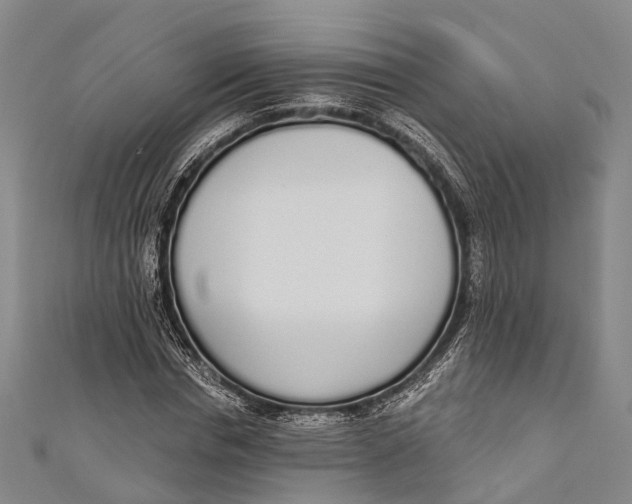 X0000110980826200907101408