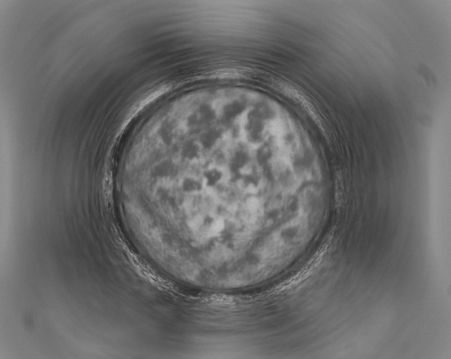 X0000110980827200907101408