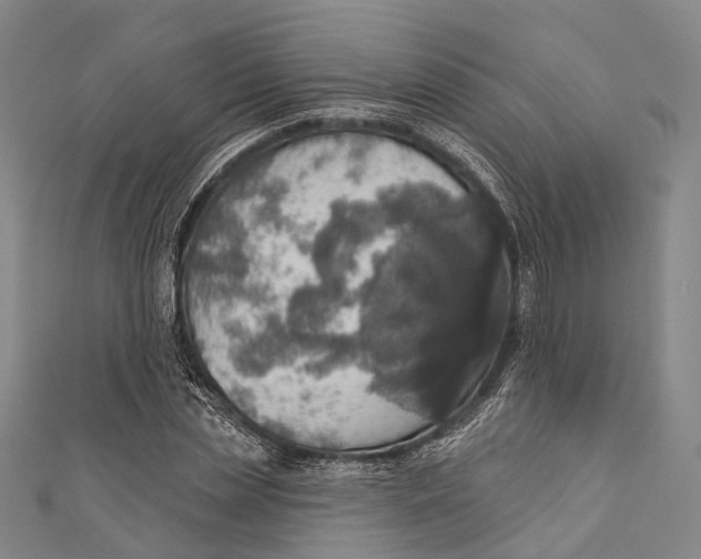 X0000110980829200907101408