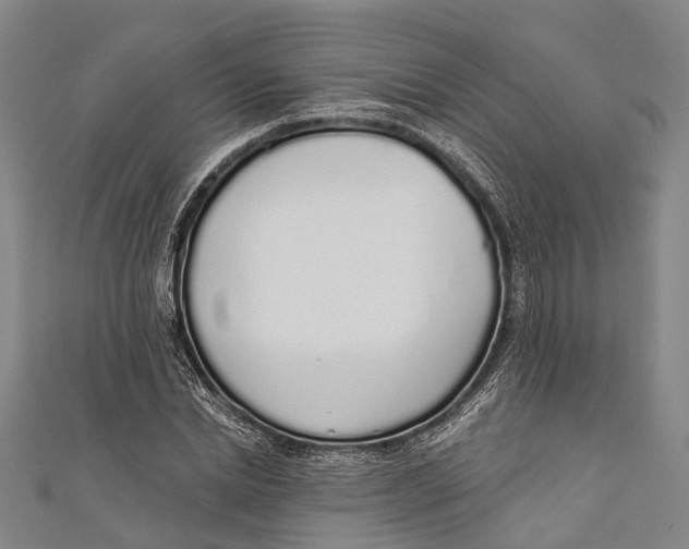 X0000110980830200907101408