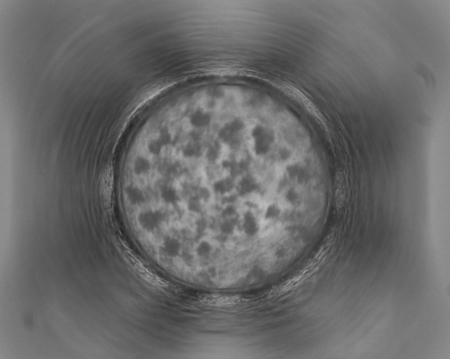 X0000110980831200907101408