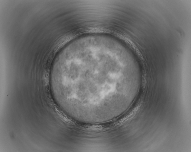 X0000110980833200907101408