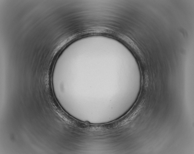 X0000110980834200907101408