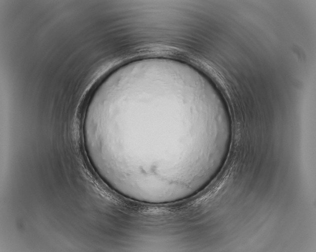 X0000110980835200907101408