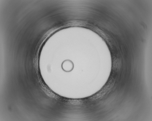 X0000110980836200907101408