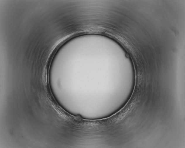 X0000110980838200907101408