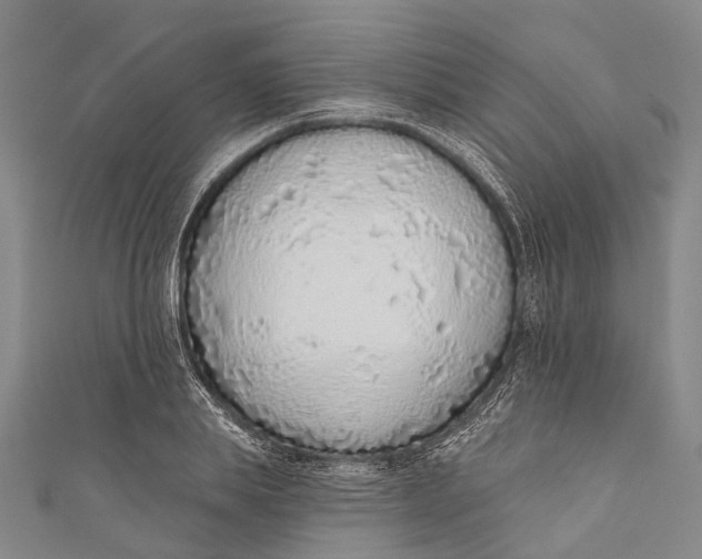 X0000110980839200907101408