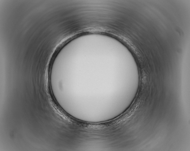 X0000110980840200907101408