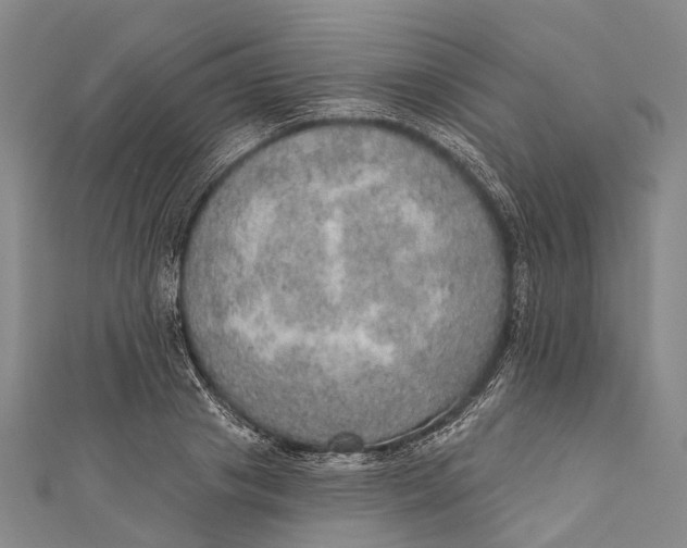 X0000110980841200907101408