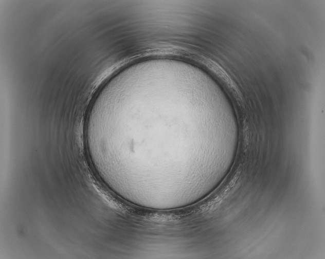 X0000110980842200907101408