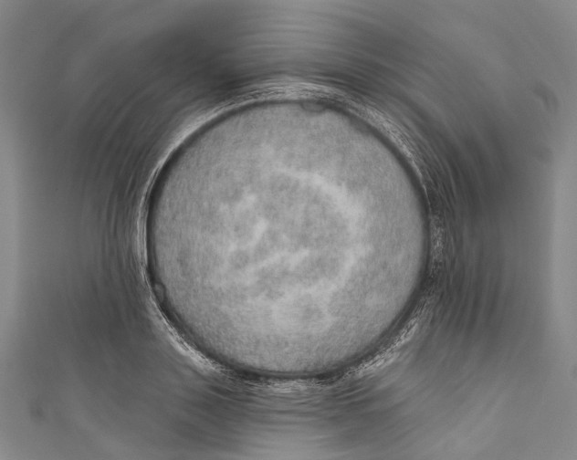 X0000110980843200907101408