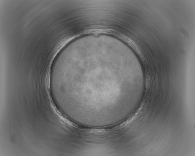 X0000110980844200907101408