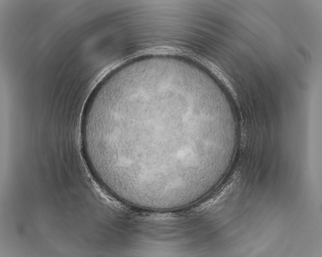 X0000110980845200907101408