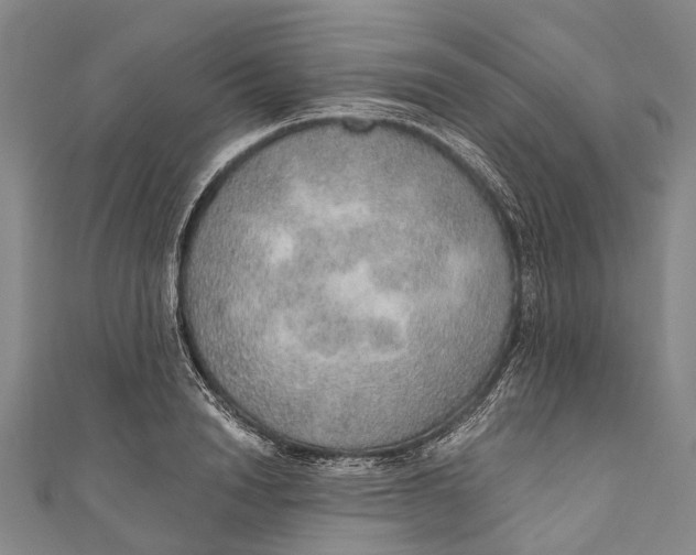 X0000110980846200907101408