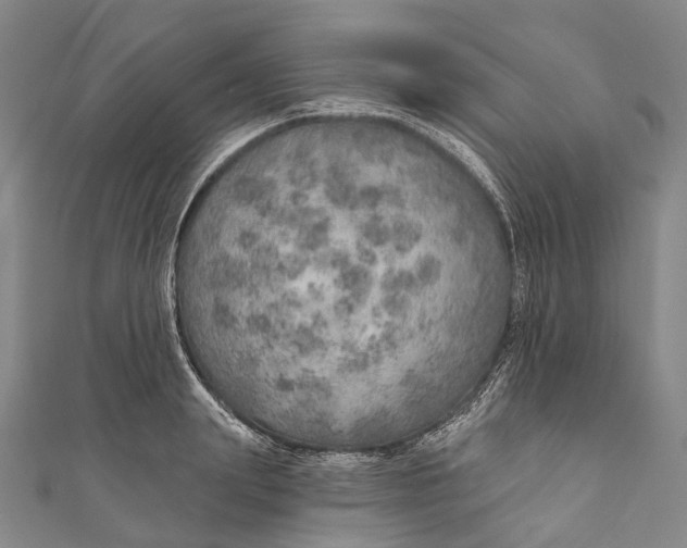 X0000110980847200907101408