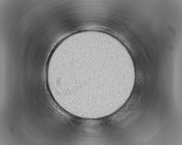 X0000110980848200907101408