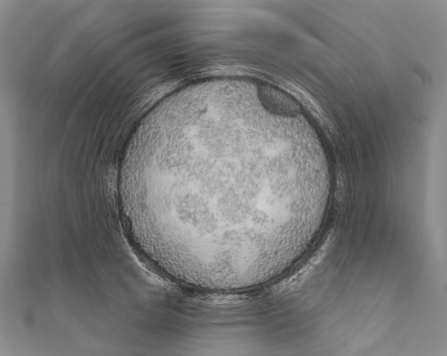 X0000110980849200907101408