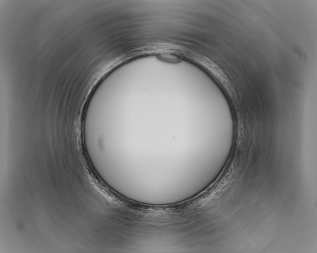 X0000110980850200907101408