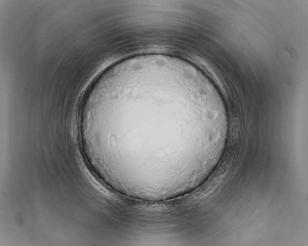 X0000110980851200907101408