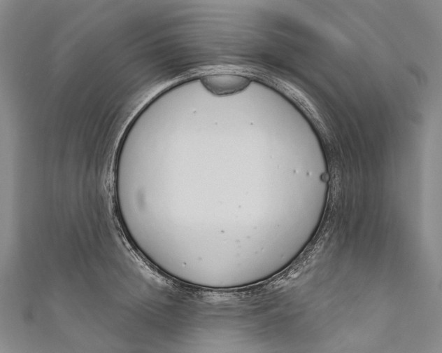 X0000110980852200907101408