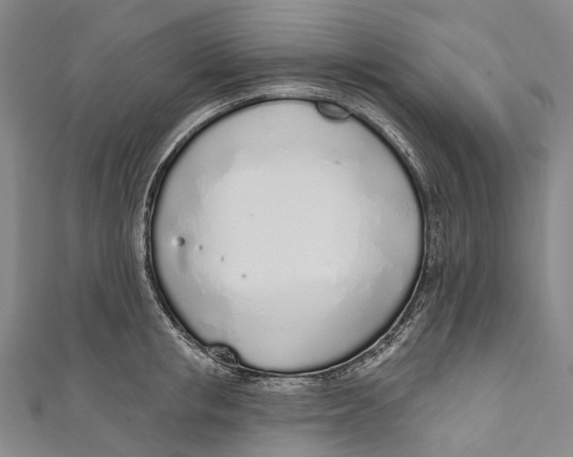 X0000110980853200907101408