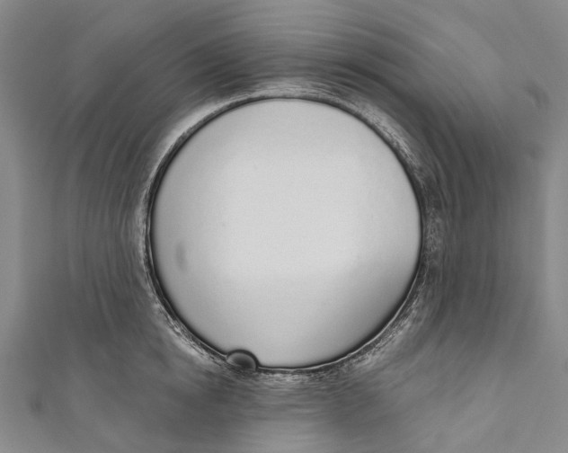 X0000110980854200907101408