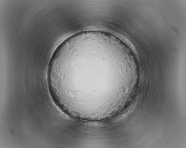 X0000110980855200907101408