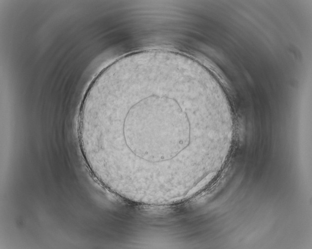 X0000110980856200907101408