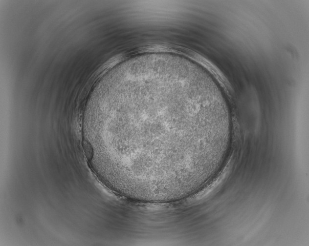 X0000110980857200907101408